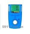 GC210O2檢測(cè)儀/報(bào)警器