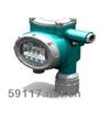 GD-2000L-HF-E-C氟化氫氣體報(bào)警儀