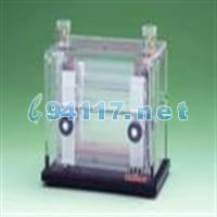AE-6450 (Dual Mini Slab Kit)垂直電泳槽